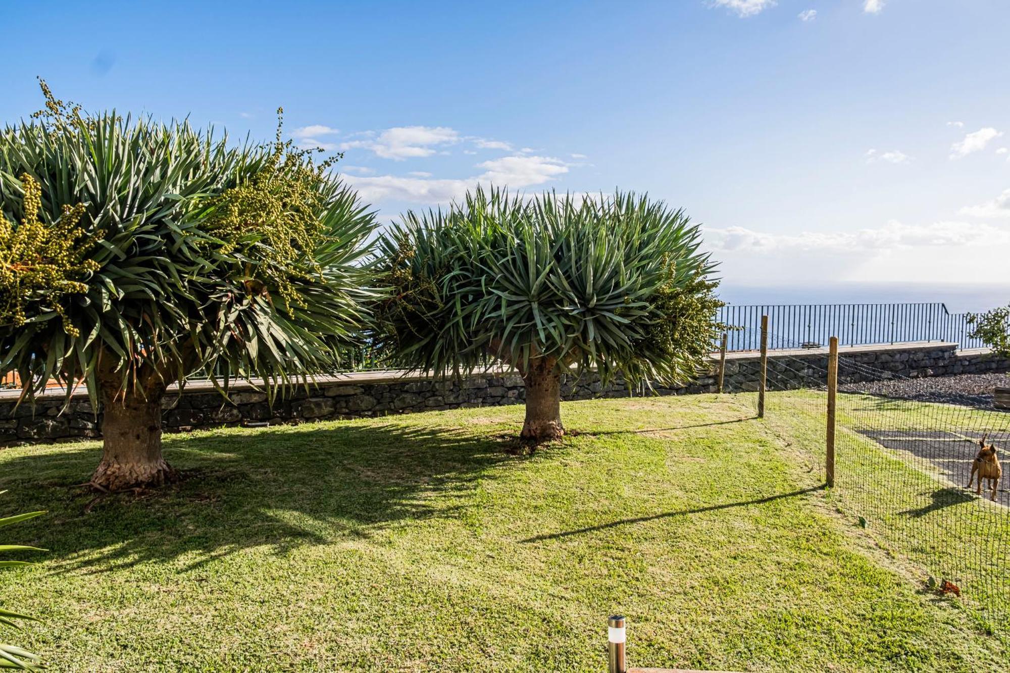 Namaste House II Apartment Funchal  Luaran gambar